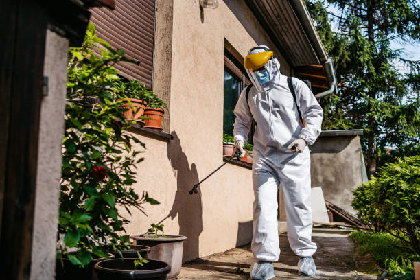 Best Ant Control Services  in Island Walk, FL