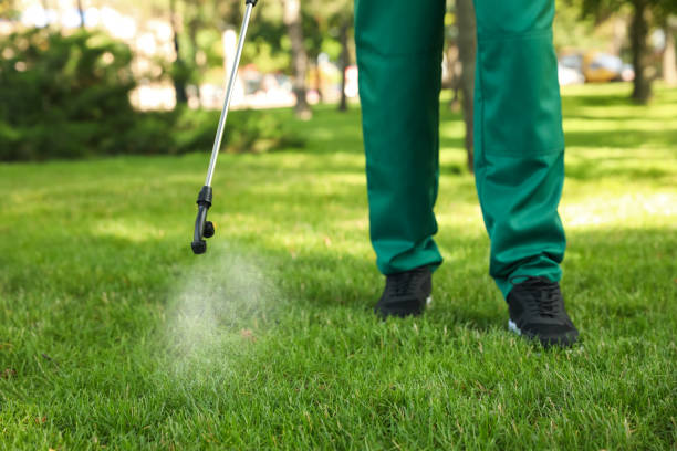 Best Best Pest Control Companies  in Island Walk, FL