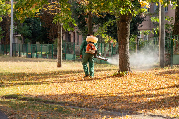 Wasp Removal Services in Island Walk, FL