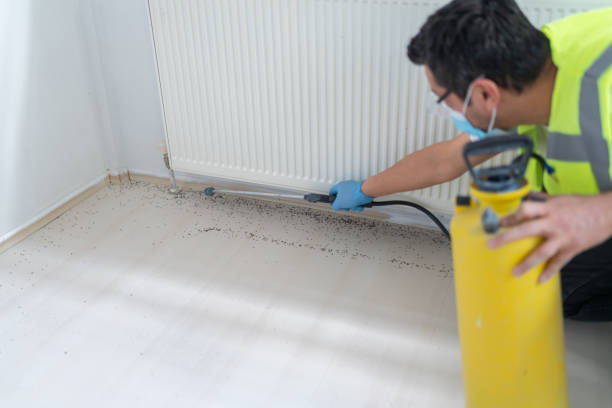 Best Emergency Pest Control  in Island Walk, FL